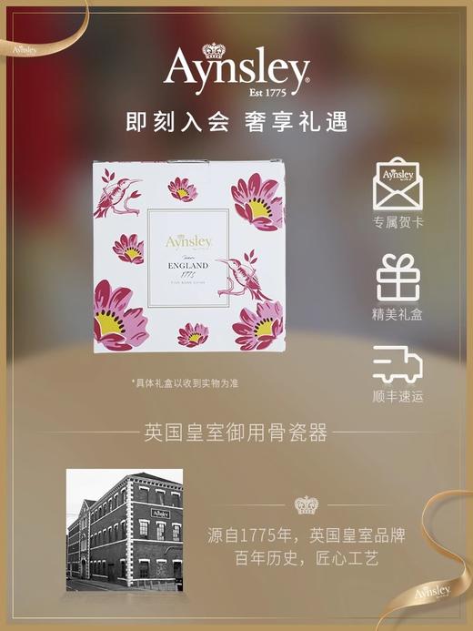 英国Aynsley安斯丽弗罗里达Florida系列骨瓷咖啡杯碟下午茶茶具餐具 商品图7