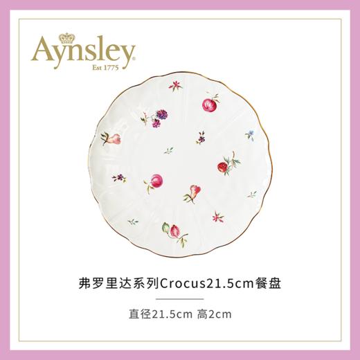 英国Aynsley安斯丽弗罗里达Florida系列骨瓷咖啡杯碟下午茶茶具餐具 商品图1