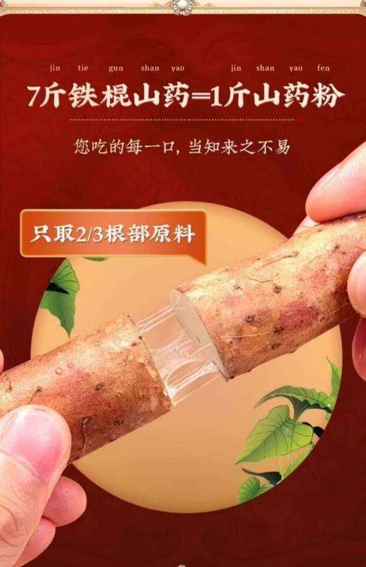 山药粉250g铁棍纯山药粉营养代餐粉食品级山药粉铁棍山 商品图7