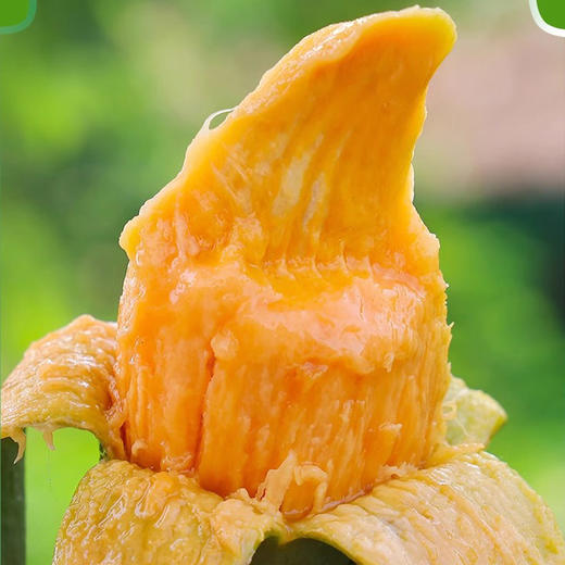 【细腻爽口】桂七芒果 1000g/份 商品图3