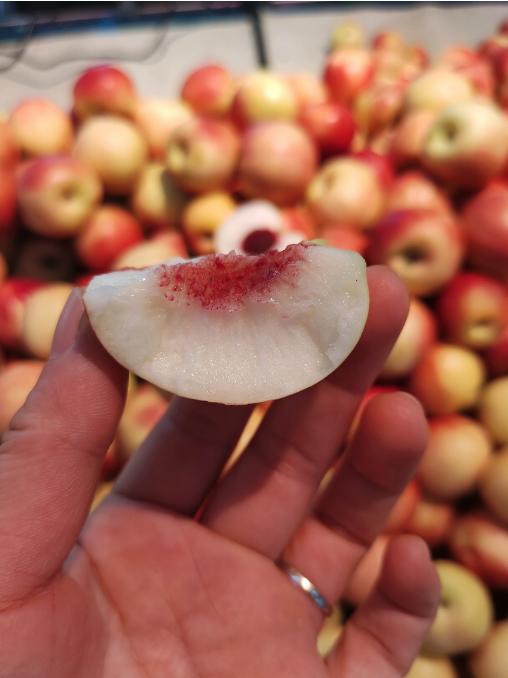 精品枣蜜桃2斤 商品图2