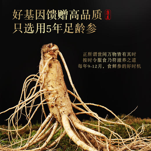 康美药业新开河新鲜人参 吉林新开河顺丰直邮 多规格人参茶饮煲汤送礼自用 商品图6