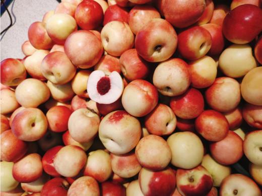 精品枣蜜桃2斤 商品图0