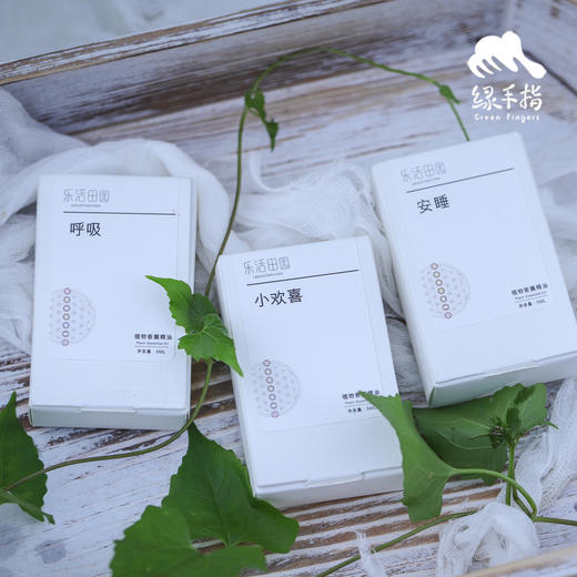 植物香薰精油（乐活田园，中通或圆通快递）| 公平贸易*Plant aromatherapy essential oil| Fair Trade 商品图3