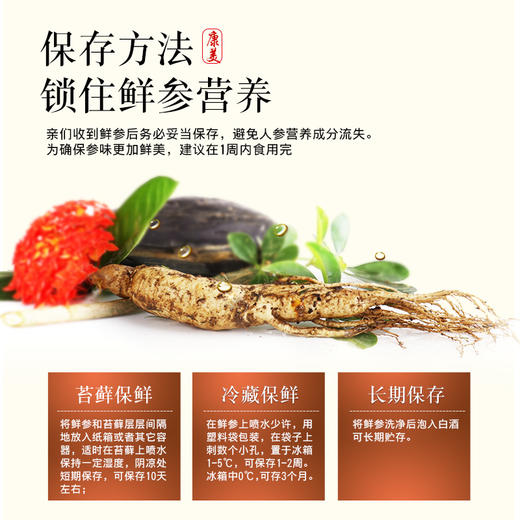 康美药业新开河新鲜人参 吉林新开河顺丰直邮 多规格人参茶饮煲汤送礼自用 商品图9