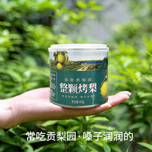 贡梨园整颗烤梨罐头400g 商品图4