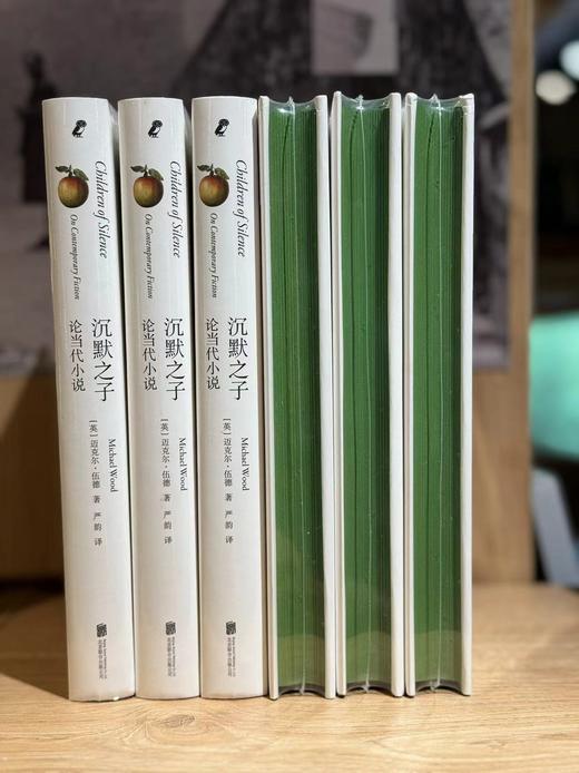 沉默之子:论当代小说 迈克尔·伍德著 深入解读百年孤独 焚舟纪 等待戈多 石黑一雄等作品 当代文学批评经典外国文学理论 商品图2