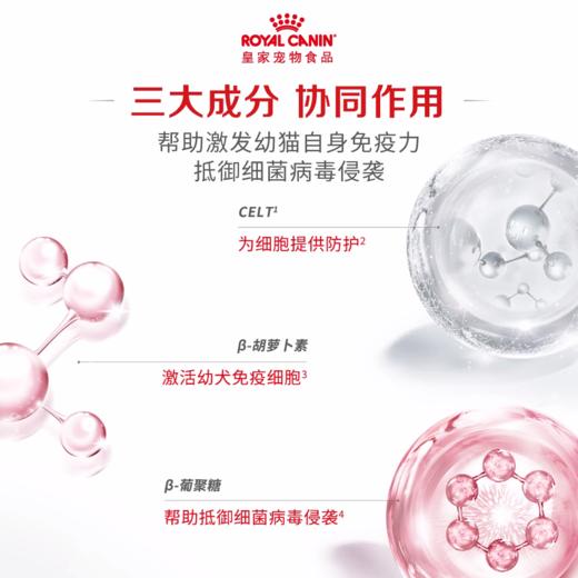 皇家幼年期/成年期全价猫湿粮85g*12包慕斯奶糕罐1-4月龄幼猫 商品图14