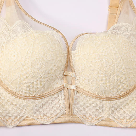 都市丽人内衣聚拢升杯常规文胸蕾丝超薄文胸3/4杯三排扣软钢圈YBT2C7 商品图4