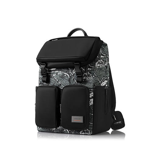 新秀丽MOSS系列V&A联名款高端商务双肩包NR0*004 商品图2