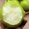 【云南早酥梨】清脆多汁 肉质酥脆 酸甜多汁 果形饱满 表面光滑 口感细腻 口感丰富 2种规格任选 商品缩略图1