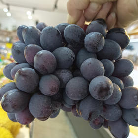 【甜蜜无籽】金秋葡萄 500g/份