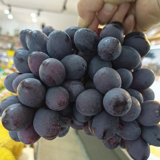 【甜蜜无籽】金秋葡萄 500g/份 商品图0