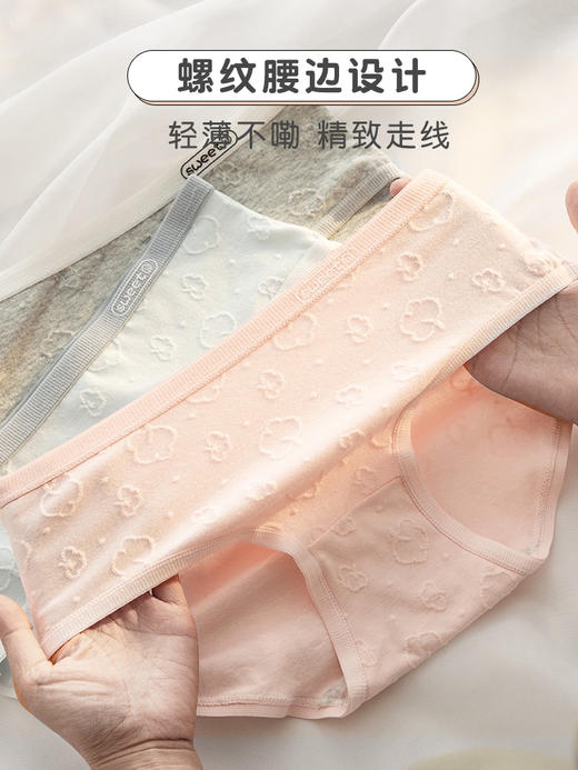 【39/6条】HANPY杭拍 少女纯棉抗菌中腰内裤Y01 纯净简约 软糯中腰 舒适亲肤 商品图5