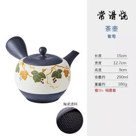 日本进口常滑烧富士山樱花名家侧把单个纯手工茶壶290cc(玉光作)硕果葡萄茶壶290ml（昭萠作）