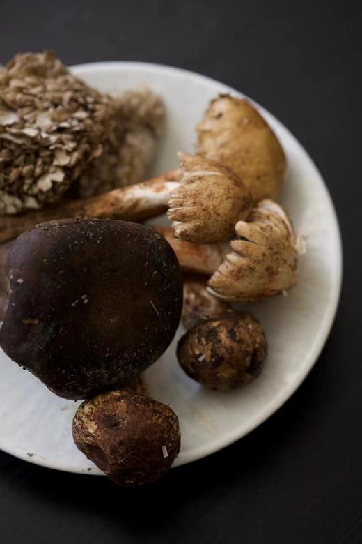 云南丛林菌子土鸡汤锅(火锅) 商品图4