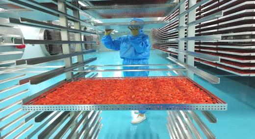 杞福源 锁鲜 中宁枸杞 商品图3