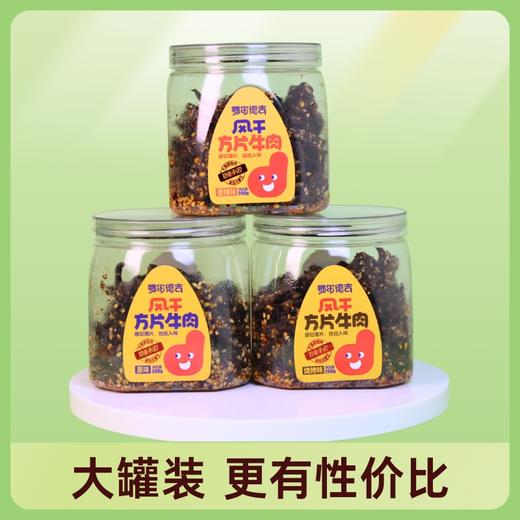 鄂尔德吉风干牛肉方片多种口味简单配料原切有嚼劲即食200g/罐 商品图5