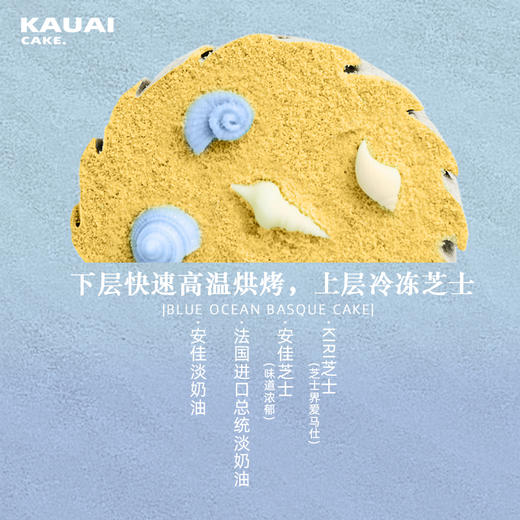 蓝色海洋巴斯克（全国配送） | 烤爱 商品图4