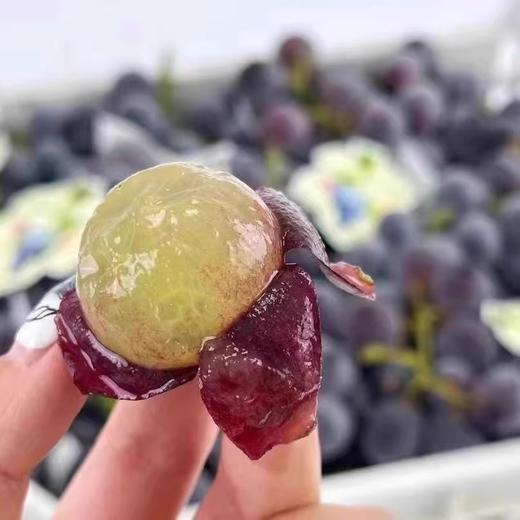 【甜蜜无籽】金秋葡萄 500g/份 商品图2