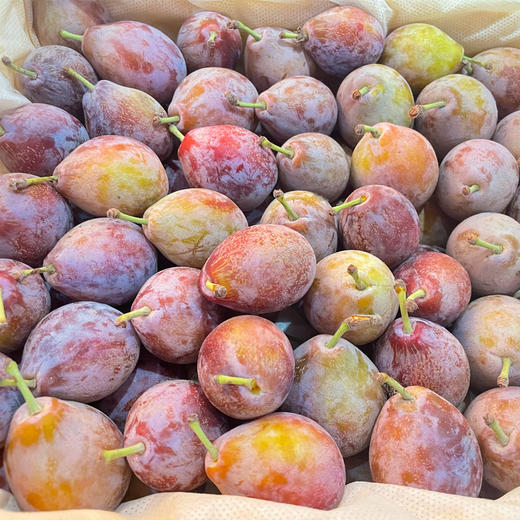 新疆西梅 500g/份（阳光十足的偏爱，皮薄多汁 味道甜蜜） 商品图0