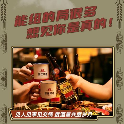 【夜宵摊的王者】雪花啤酒经典沈阳老雪花12度640ml/瓶 商品图1