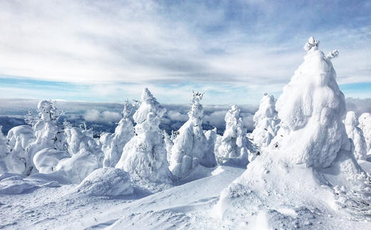 【超值系列团】3799/人起 2026年1月- 3月 日本藏王系列5日4晚 商品图3