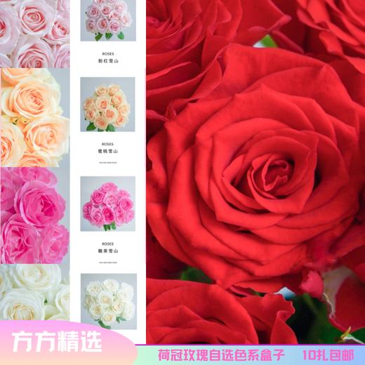 【星荷整件】合集 包邮（广州） 商品图0