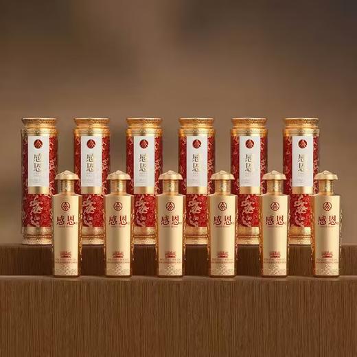 【开门红】五粮液 股份出品 感恩 浓香型 52度 500ml x6 商品图0