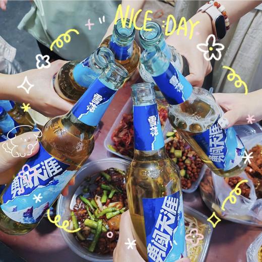 雪花啤酒500ml*6 【愿有人陪你一起喝雪花，也有人陪你闯天涯】包装随机 商品图0