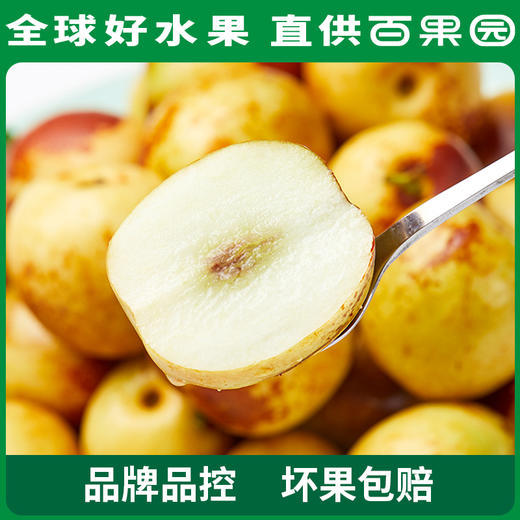 PAGODA百果园 阳光冬枣4.5斤彩箱装（单果重：12g-16g） 商品图2