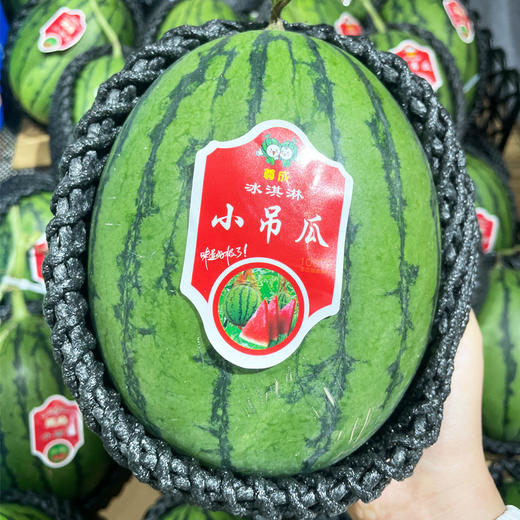 【酥脆爽口】小吊西瓜 约1800g/个 商品图0
