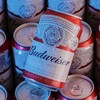 Budweiser/百威啤酒经典醇正330ml 商品缩略图0
