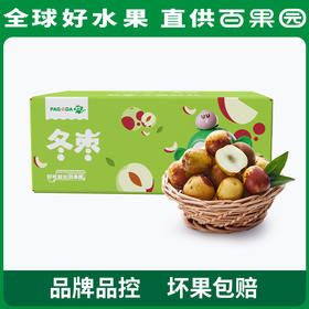 PAGODA百果园 阳光冬枣3斤彩箱装（单果重：12g-16g）