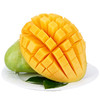 【下架】【助农】山水龙城攀枝花凯特芒果大果一级果净重9斤（单果600g以上） 商品缩略图1