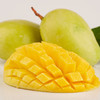 【下架】【助农】山水龙城攀枝花凯特芒果大果一级果净重9斤（单果600g以上） 商品缩略图7
