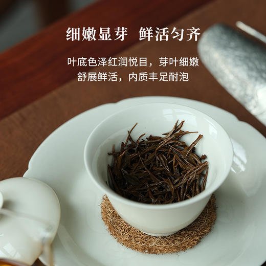 南溪红豆 北路茶叶红茶2024福鼎高山茶礼盒装送礼长辈 商品图2