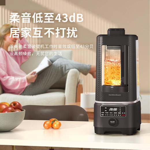 Hamilton Beach汉美驰净味低音高速破壁机（星空灰） 商品图4