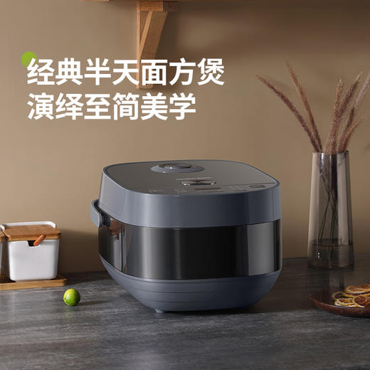 Hamilton Beach汉美驰电饭煲RC40101 商品图5
