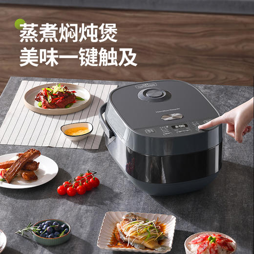 Hamilton Beach汉美驰电饭煲RC40101 商品图1