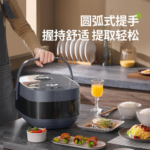 Hamilton Beach汉美驰电饭煲RC40101 商品图2