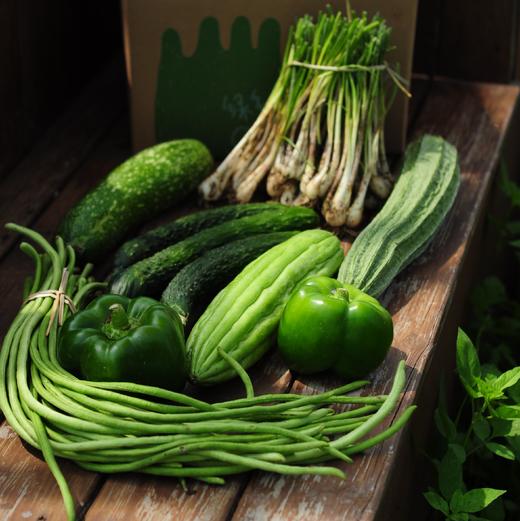 生态自选蔬菜箱（广州基地，京东特快） | 绿家自产 *ecological vegetable box  | In-House Production 商品图1