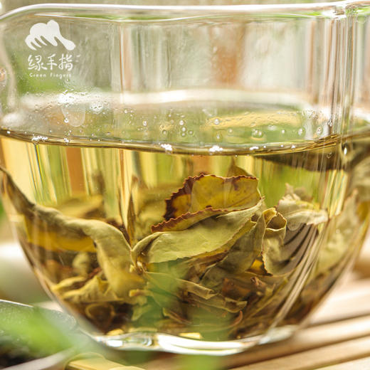 生态安溪铁观音| 合作生产*Ecological Anxi Tie Guanyin | Partner Production 商品图2