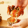 蟹状元大闸蟹2398型 公蟹4.5两*5只 母蟹3.0两*5只【BC】【YQ】 商品缩略图1