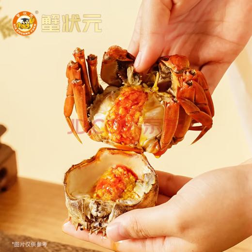 蟹状元大闸蟹2398型 公蟹4.5两*5只 母蟹3.0两*5只【BC】【YQ】 商品图1