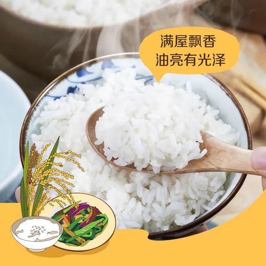 中粮初萃五常龙凤山稻花香大米5kg 商品图2