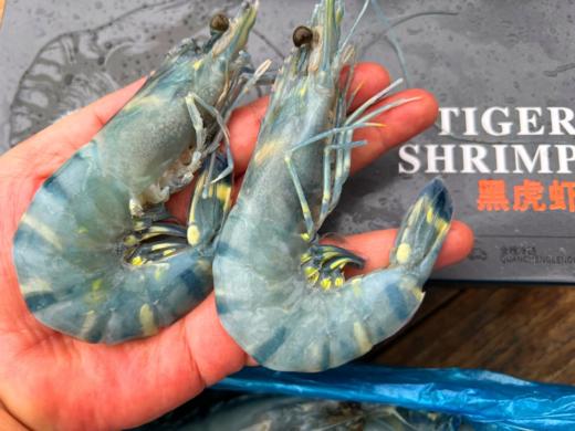 黑虎虾 商品图2