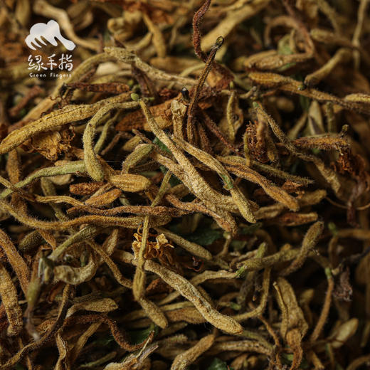 野生金银花 | 合作生产 * Wild honeysuckle | Partner Production 商品图3