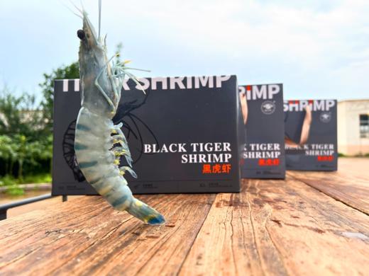 黑虎虾 商品图4