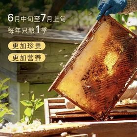 正安 长白山椴树蜜 每年仅酿1季 舒润身体益中拒绝身体躁乏咽喉不适 泡人参蜜冲饮调味家庭早餐烘焙用料 赞安天然蜂蜜500g/瓶